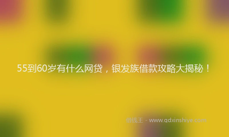 55到60岁有什么网贷，银发族借款攻略大揭秘！