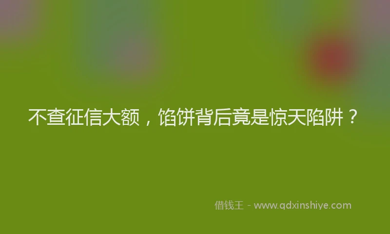 不查征信大额，馅饼背后竟是惊天陷阱？