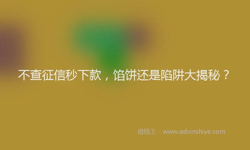 不查征信秒下款，馅饼还是陷阱大揭秘？