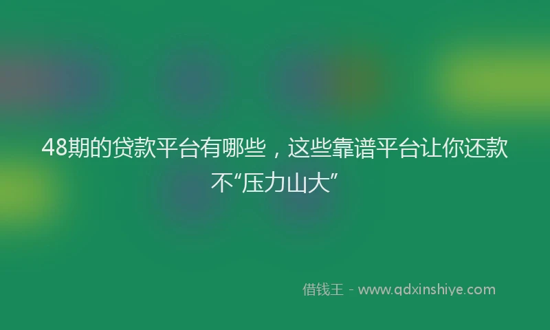48期的贷款平台有哪些，这些靠谱平台让你还款不“压力山大”