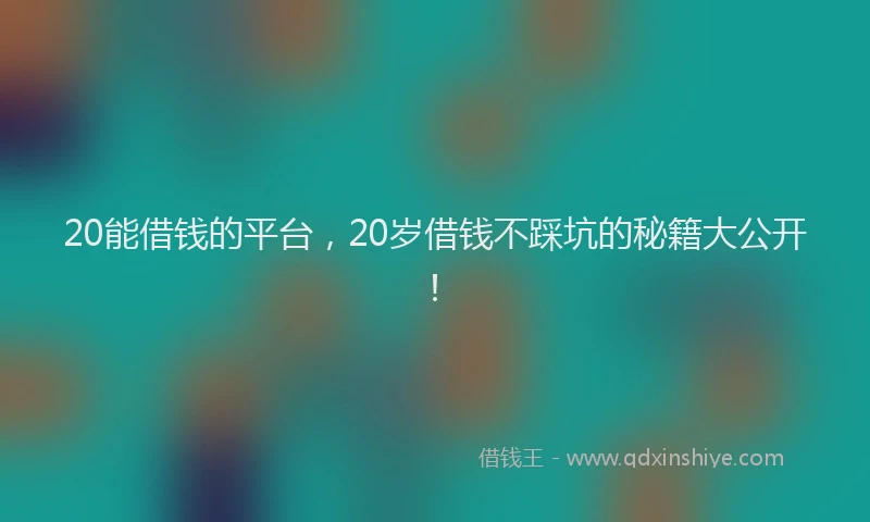 20能借钱的平台，20岁借钱不踩坑的秘籍大公开！