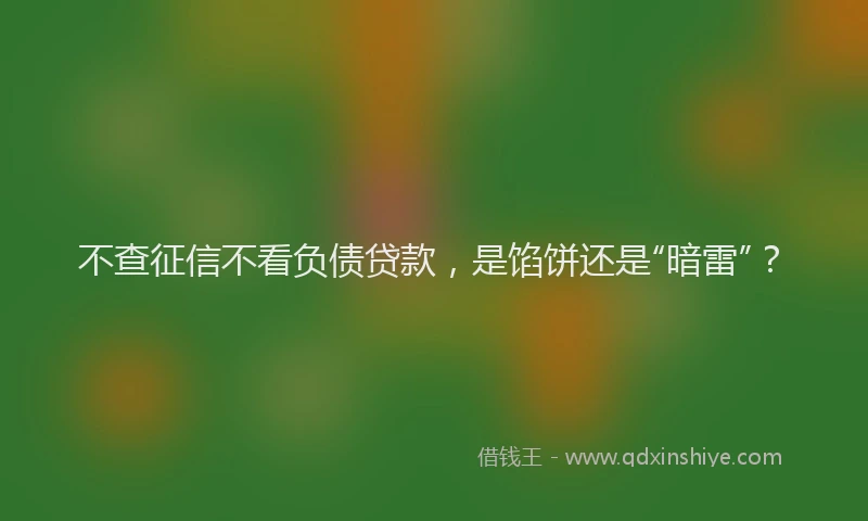 不查征信不看负债贷款，是馅饼还是“暗雷”？