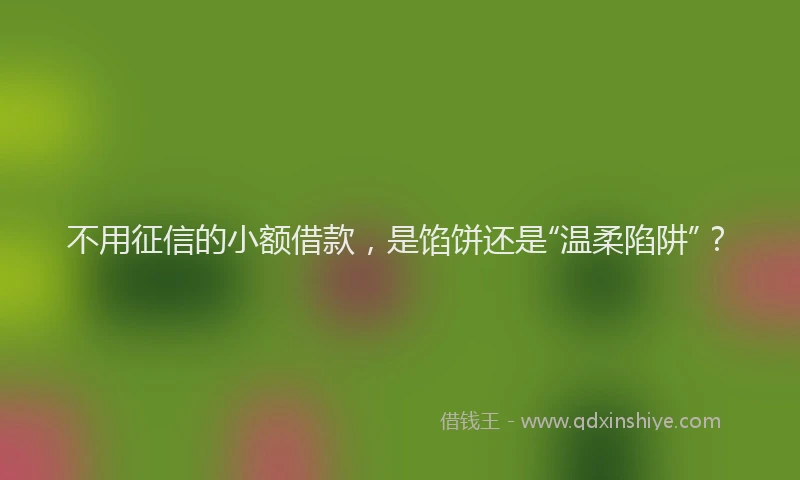 不用征信的小额借款，是馅饼还是“温柔陷阱”？