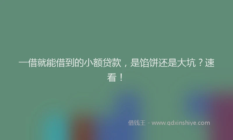 一借就能借到的小额贷款，是馅饼还是大坑？速看！