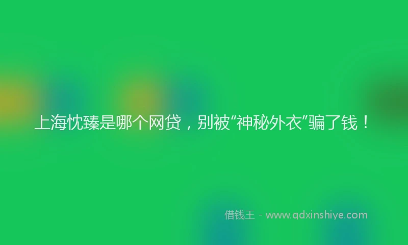 上海忱臻是哪个网贷，别被“神秘外衣”骗了钱！