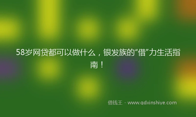 58岁网贷都可以做什么，银发族的“借”力生活指南！