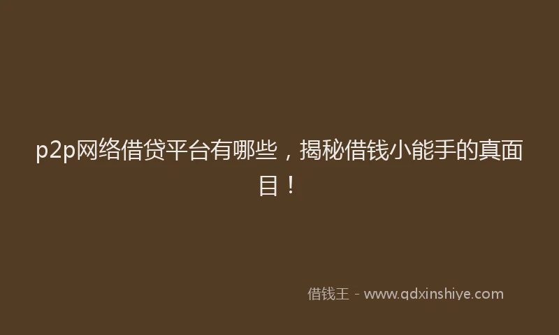 p2p网络借贷平台有哪些，揭秘借钱小能手的真面目！