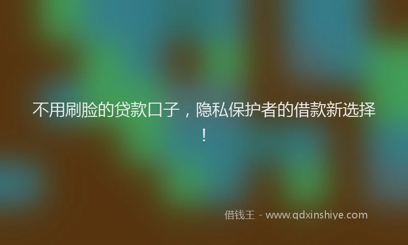 不用刷脸的贷款口子，隐私保护者的借款新选择！