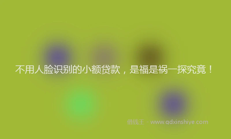不用人脸识别的小额贷款，是福是祸一探究竟！