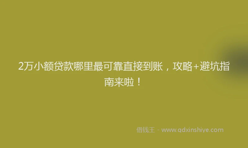 2万小额贷款哪里最可靠直接到账，攻略+避坑指南来啦！
