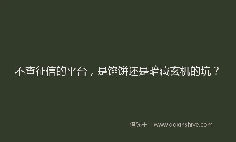 不查征信的平台，是馅饼还是暗藏玄机的坑？