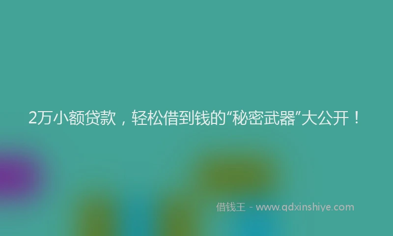 2万小额贷款，轻松借到钱的“秘密武器”大公开！