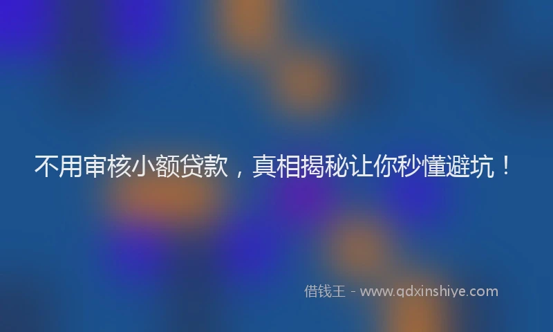 不用审核小额贷款，真相揭秘让你秒懂避坑！