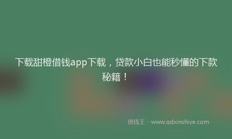 下载甜橙借钱app下载，贷款小白也能秒懂的下款秘籍！