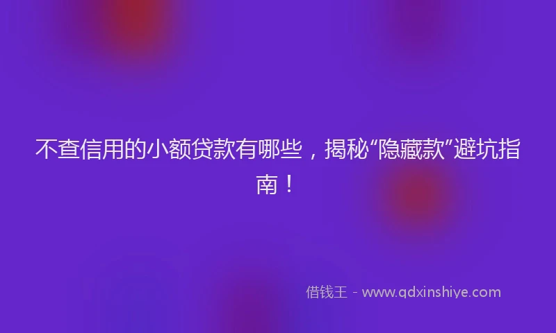 不查信用的小额贷款有哪些，揭秘“隐藏款”避坑指南！