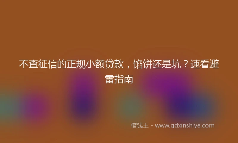 不查征信的正规小额贷款，馅饼还是坑？速看避雷指南