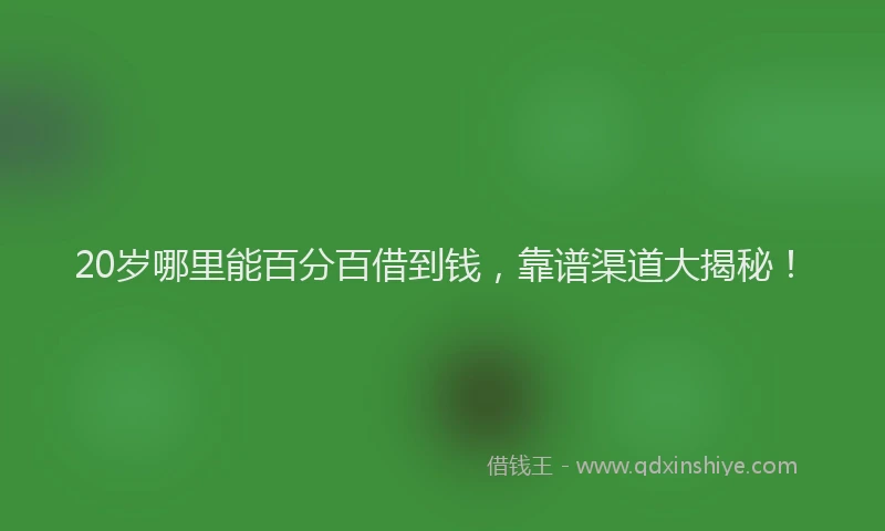 20岁哪里能百分百借到钱，靠谱渠道大揭秘！