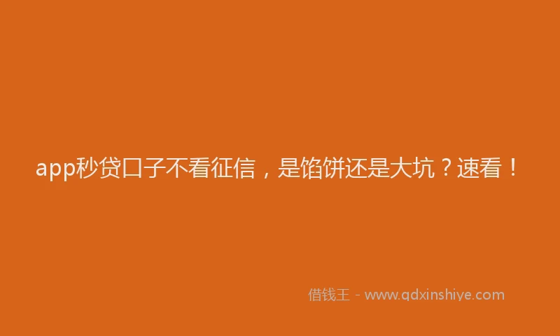 app秒贷口子不看征信，是馅饼还是大坑？速看！
