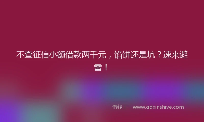 不查征信小额借款两千元，馅饼还是坑？速来避雷！