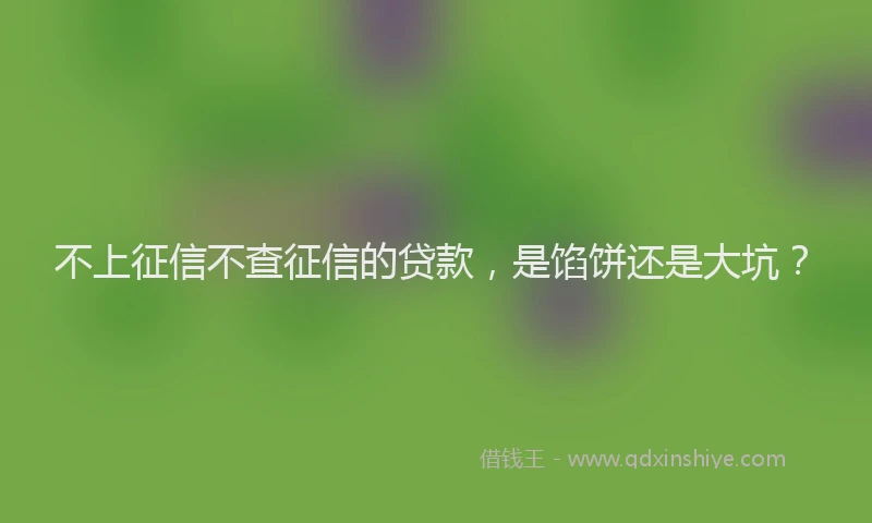 不上征信不查征信的贷款，是馅饼还是大坑？