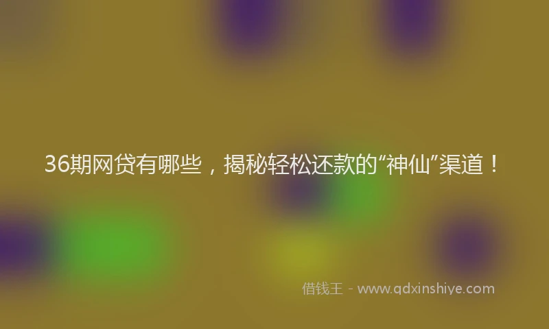 36期网贷有哪些，揭秘轻松还款的“神仙”渠道！