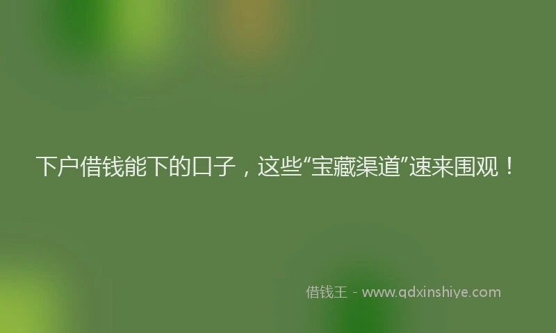 下户借钱能下的口子，这些“宝藏渠道”速来围观！