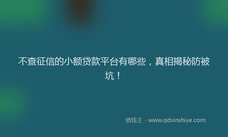 不查征信的小额贷款平台有哪些，真相揭秘防被坑！