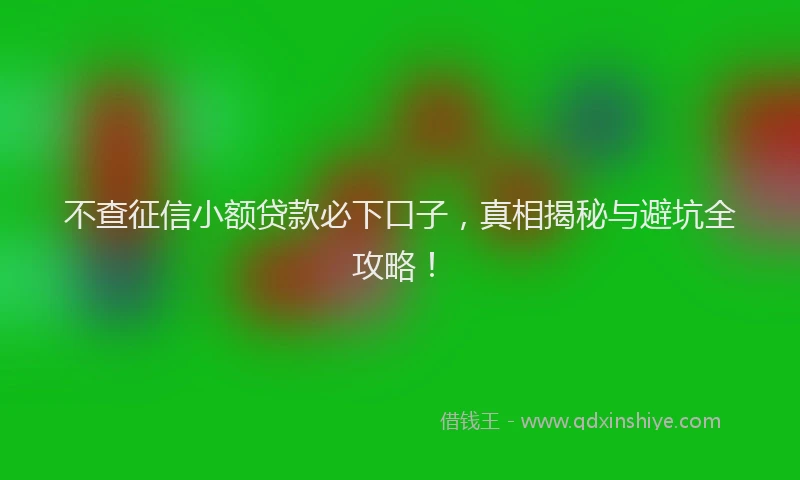 不查征信小额贷款必下口子，真相揭秘与避坑全攻略！