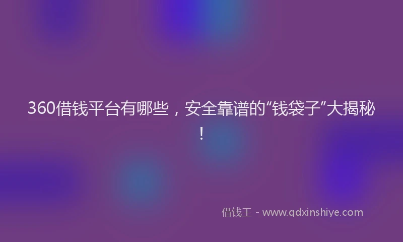 360借钱平台有哪些，安全靠谱的“钱袋子”大揭秘！