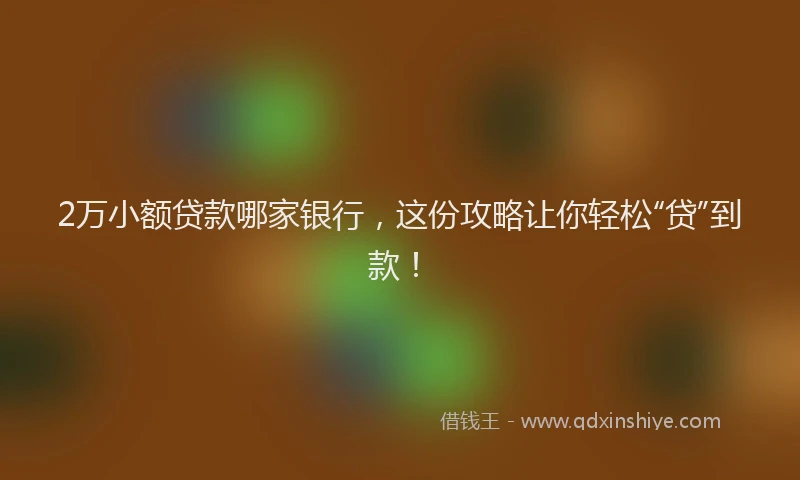2万小额贷款哪家银行，这份攻略让你轻松“贷”到款！