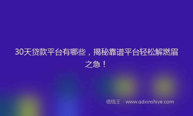 30天贷款平台有哪些，揭秘靠谱平台轻松解燃眉之急！