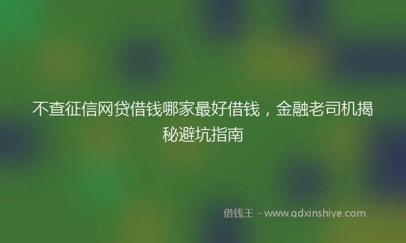 不查征信网贷借钱哪家最好借钱，金融老司机揭秘避坑指南