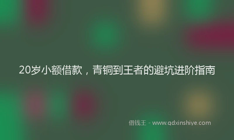 20岁小额借款，青铜到王者的避坑进阶指南