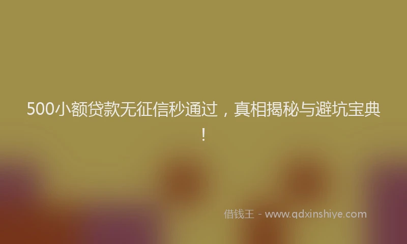 500小额贷款无征信秒通过，真相揭秘与避坑宝典！
