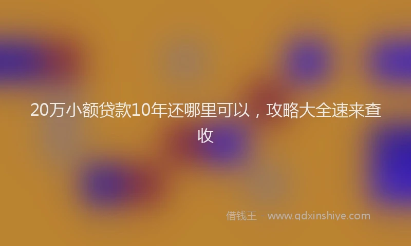 20万小额贷款10年还哪里可以，攻略大全速来查收