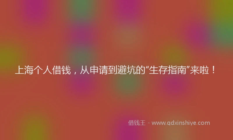 上海个人借钱，从申请到避坑的“生存指南”来啦！