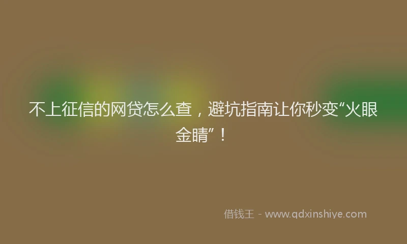 不上征信的网贷怎么查，避坑指南让你秒变“火眼金睛”！