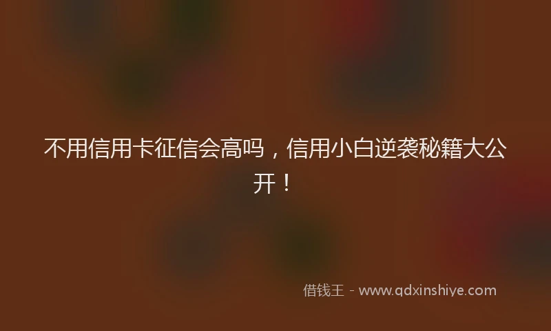 不用信用卡征信会高吗，信用小白逆袭秘籍大公开！