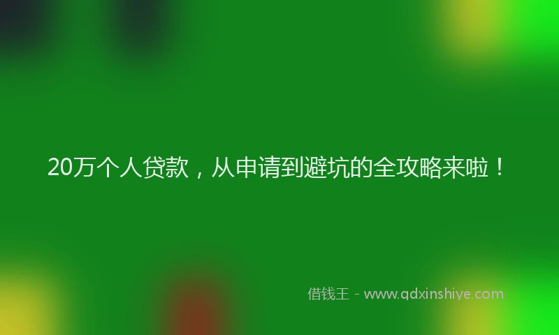 20万个人贷款，从申请到避坑的全攻略来啦！