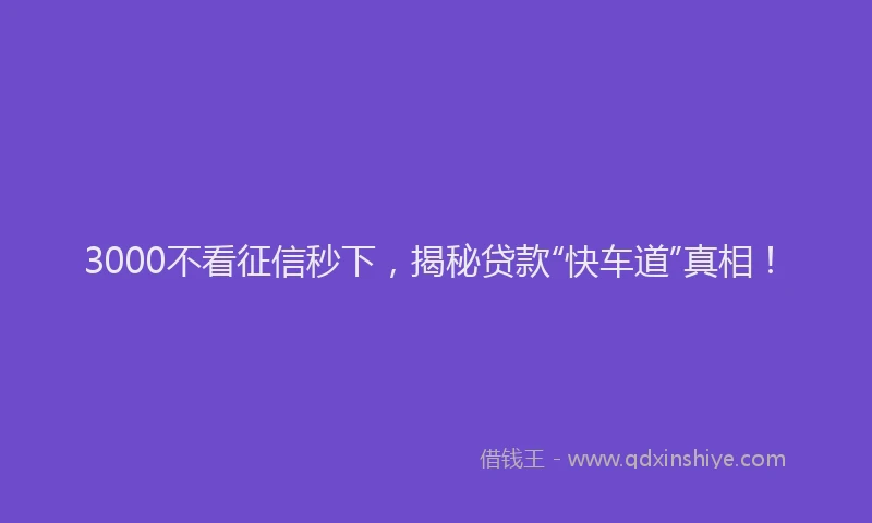3000不看征信秒下，揭秘贷款“快车道”真相！
