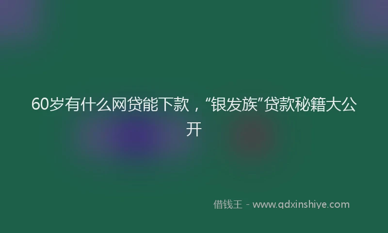 60岁有什么网贷能下款，“银发族”贷款秘籍大公开