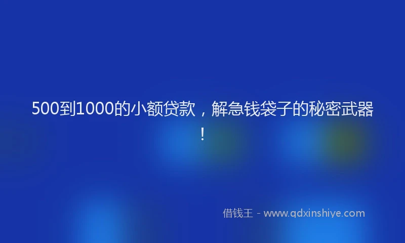 500到1000的小额贷款，解急钱袋子的秘密武器！