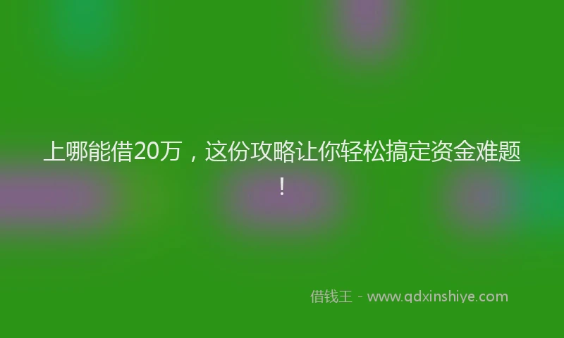 上哪能借20万，这份攻略让你轻松搞定资金难题！
