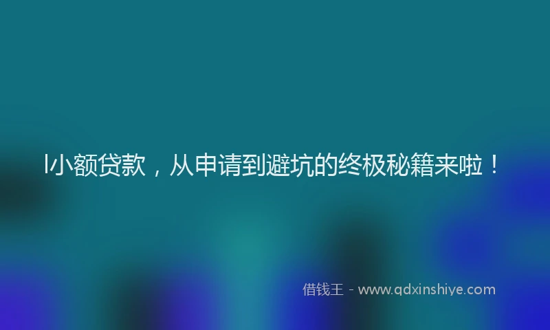 l小额贷款，从申请到避坑的终极秘籍来啦！