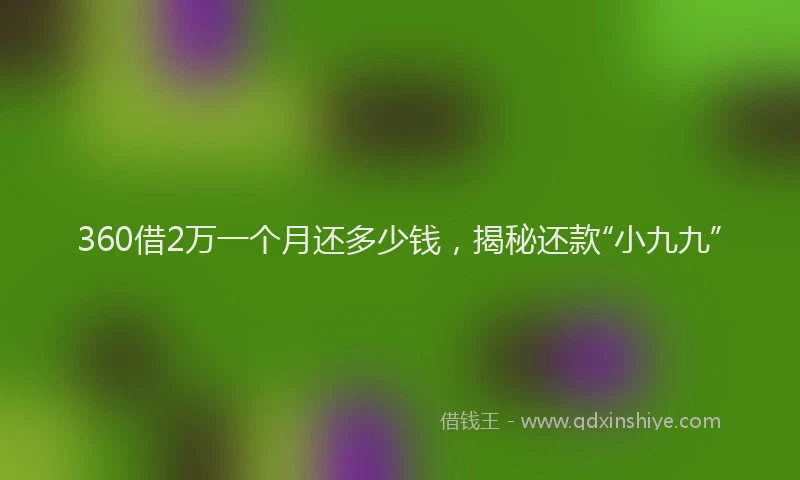 360借2万一个月还多少钱，揭秘还款“小九九”