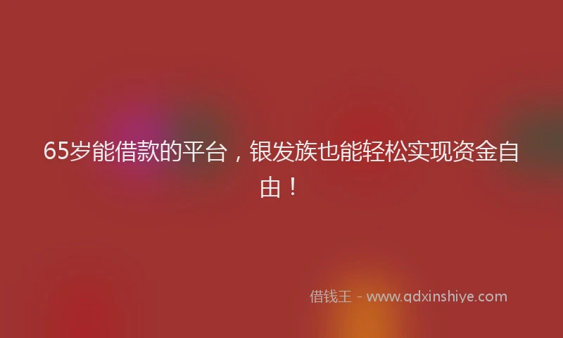 65岁能借款的平台，银发族也能轻松实现资金自由！