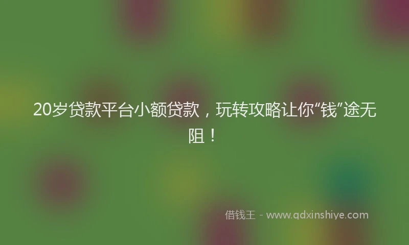 20岁贷款平台小额贷款，玩转攻略让你“钱”途无阻！