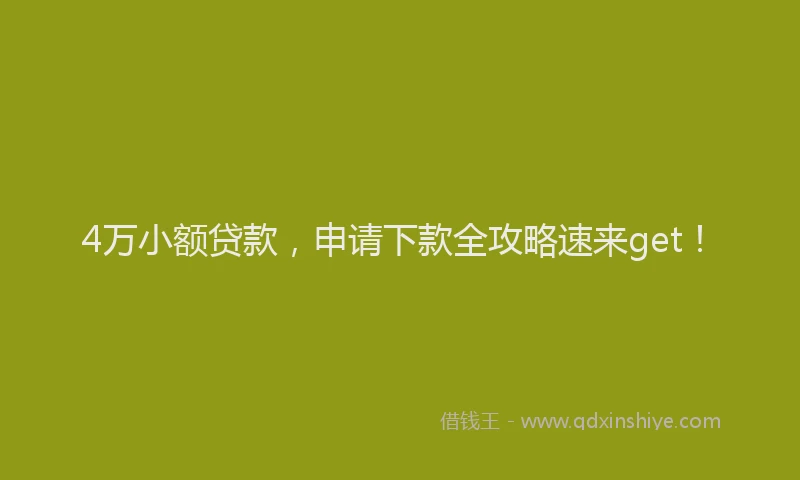 4万小额贷款，申请下款全攻略速来get！