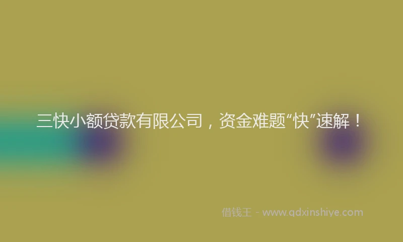 三快小额贷款有限公司，资金难题“快”速解！