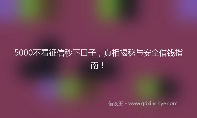 5000不看征信秒下口子，真相揭秘与安全借钱指南！